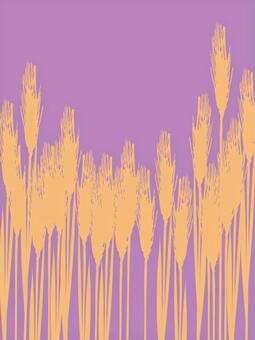 黄金色の麦穂シルエット　mugi028 麦穂,黄金色,リアル,シルエット,ツートーン,ナチュラル,お洒落,自然,植物,大人っぽいのイラスト素材