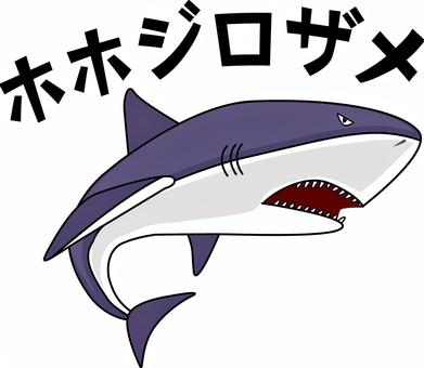 ホホジロザメ 鮫,ホホジロザメ,海,水中,肉食,海水魚,泳ぐ,文字,線画のイラスト素材
