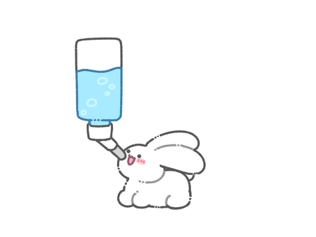 水を飲む白うさぎ うさぎ,ホワイト,白,水,飲む,給水,給水器,水分,水分補給,動物のイラスト素材
