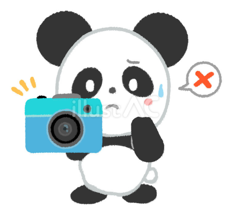 写真撮影に失敗したパンダ パンダ,カメラ,失敗のイラスト素材