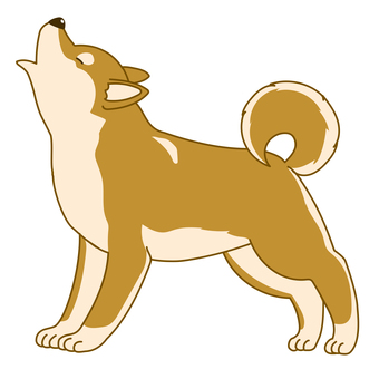 かわいい柴犬のシンプルイラスト遠吠え 犬,ペット,柴犬,手描き,横向,嬉しい,かわいい,アクション,アニマル,挿絵のイラスト素材