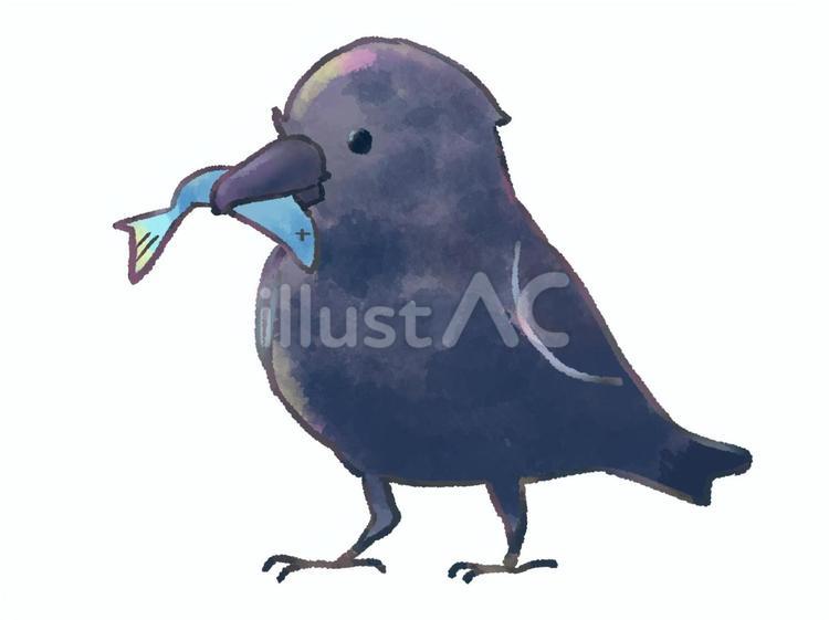 魚をくわえるカラス カラス,魚,鳥のイラスト素材
