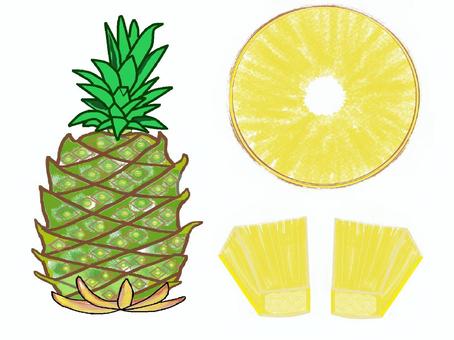 Illustration, JPG Illustration, pine, southern country, fruit, JPG