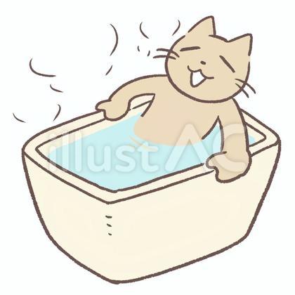 お風呂に浸かりあったまる猫
