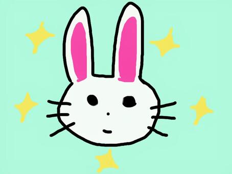 キラキラウサギ