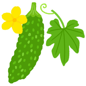 Illustration, bitter gourd, nigauri, flower, 