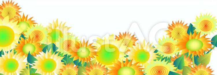 季節の花ハガキサイズ02-01 はがき,ポストカード,フレームのイラスト素材