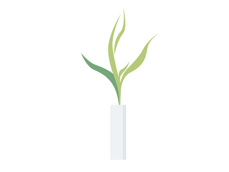 Illustration, plant, foliage plant, potted plant, JPG, PNG and AI