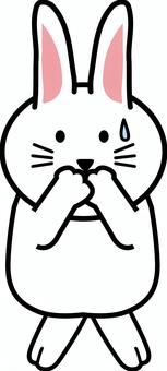 兎秘密 兎,動物,キャラ,かわいい,表情,困る,秘密のイラスト素材