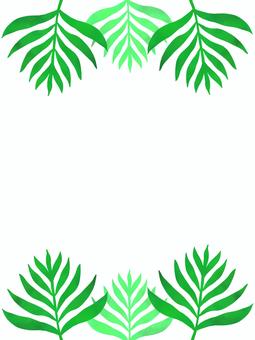 Illustration, leaf, frame, botanical, 