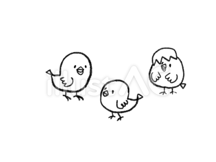 ひよこのつどい ひよこ,かわいい,白黒のイラスト素材