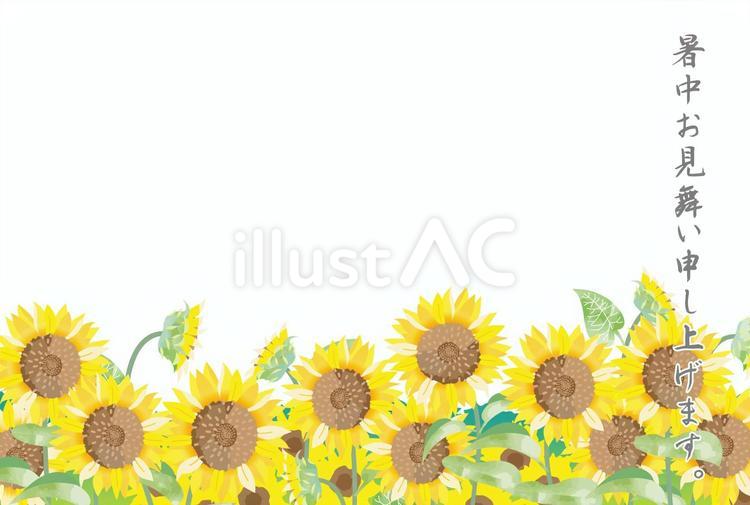 夏の挨拶状に使えるひまわりイラスト 暑中見舞い,夏,挨拶のイラスト素材