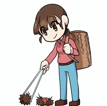 栗拾い＿女性 栗,拾う,カゴ,秋,人物,女性,全身,生活,素材のイラスト素材
