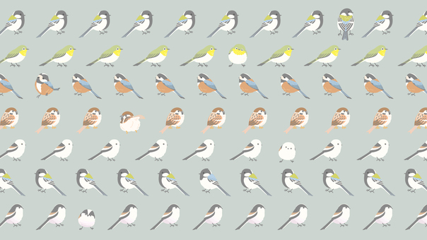 かわいい小鳥たちの背景イラスト 小鳥,鳥,野鳥,混群,シジュウカラ,エナガ,コゲラ,メジロ,スズメ,ヤマガラのイラスト素材
