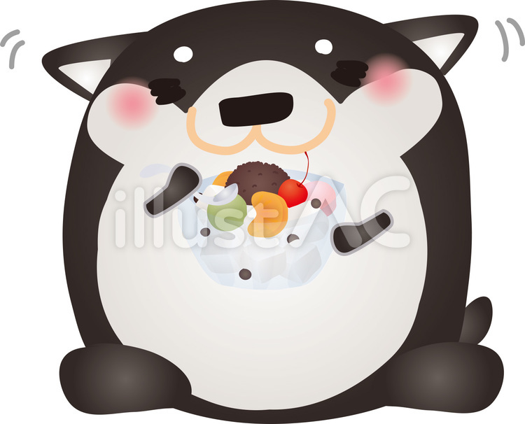 黒柴あんみつ 犬,あんみつ,柴犬のイラスト素材