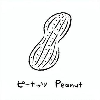 手描きのピーナッツ2_名称入_白黒 ピーナッツ,落花生,ナッツ,野菜,アイコン,食べ物,シンプル,ベクター,食材,健康のイラスト素材