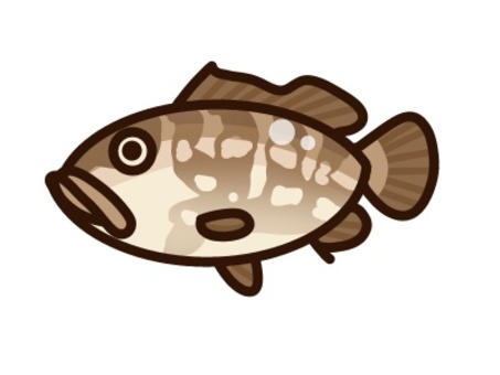 クエ　デフォルメアイコン クエ,魚,海水魚のイラスト素材