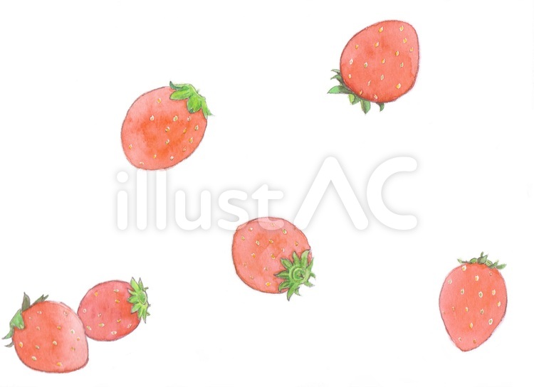 いちご 苺,イチゴ,果物のイラスト素材