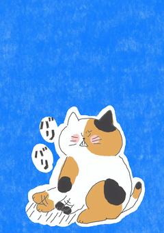 怒って爪研ぎする三毛猫ちゃん 怒って爪研ぎする三毛猫ちゃん かわいい,怒る,不機嫌,不満,不服,文句,嫌,きらい,ストレス,爪研ぎのイラスト素材
