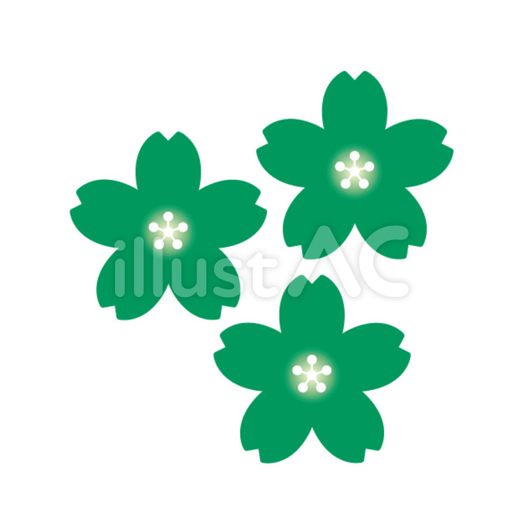 さくら サクラ,緑,花びらのイラスト素材