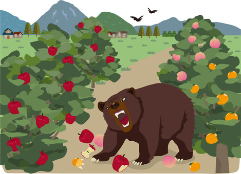 果樹園を荒らすアーバンベア アーバンベア,熊,ツキノワグマ,ヒグマ,荒らす,荒らされる,被害,果樹園,果物,果実のイラスト素材