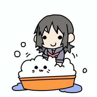 猫を洗う学生少女 学生,猫,洗う,キレイ,洗浄,泡,たらい,桶,バケツ,ペットのイラスト素材