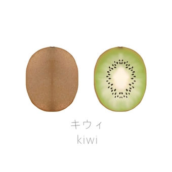 キウィ　秋から冬の果物 キウィ,フルーツ,全体,断面,緑のイラスト素材