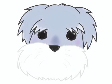 ミニチュアシュナウザー