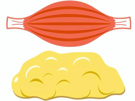 筋肉と脂肪のセット 筋肉,脂肪,セット,筋繊維,体脂肪のイラスト素材