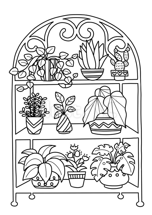 ラックに並んだ観葉植物の塗り絵 塗り絵,趣味,娯楽のイラスト素材