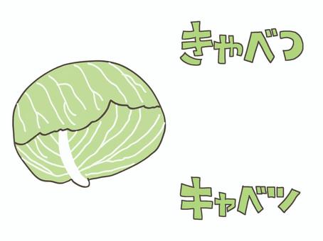 キャベツ きゃべつ,野菜,食べ物,文字絵,pop調,手描き,挿絵,ワンポイント,素材,商用可のイラスト素材