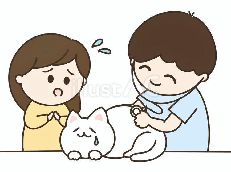 猫を診察する獣医と見守る飼い主のカラー 猫,診察,病院のイラスト素材
