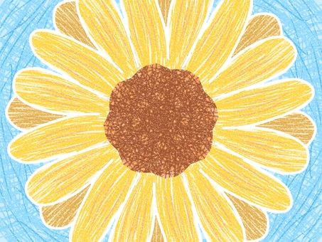 手描き風ヒマワリ ヒマワリ,花,手描き風,色鉛筆画風,かわいい,きれいのイラスト素材