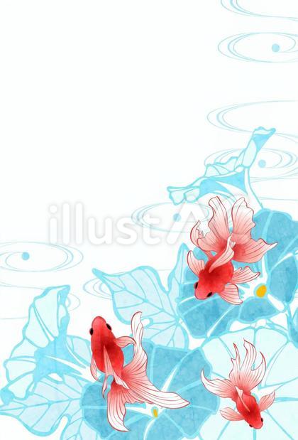 SummerCard24151