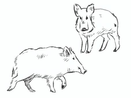 猪のイラスト 猪,獣,獣害,動物,手描き,筆,筆ペン,生き物のイラスト素材