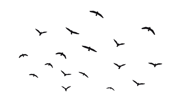 飛ぶ鳥の群れのシルエットベクターイラスト 鳥,群れ,動物,飛ぶ,散布,渡り鳥,かもめ,空,飾り,装飾のイラスト素材