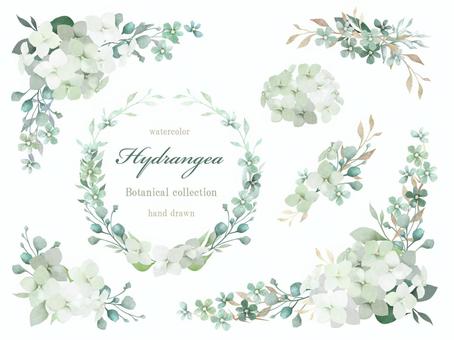 Classic hydrangea watercolor collection, JPG, PNG and AI Classic hydrangea watercolor collection, , JPG, PNG and AI