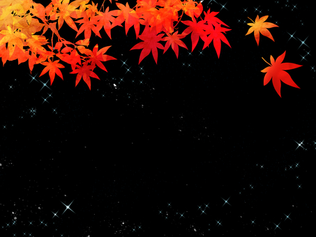 夜の紅葉の背景 空,大空,夜空,星空,闇夜,宇宙,銀河,天文,天体,プラネタリウムのイラスト素材
