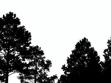 木々に囲まれた森のシルエット 森,林,木,樹木,シルエット,自然,風景,森林,木立,枝のイラスト素材