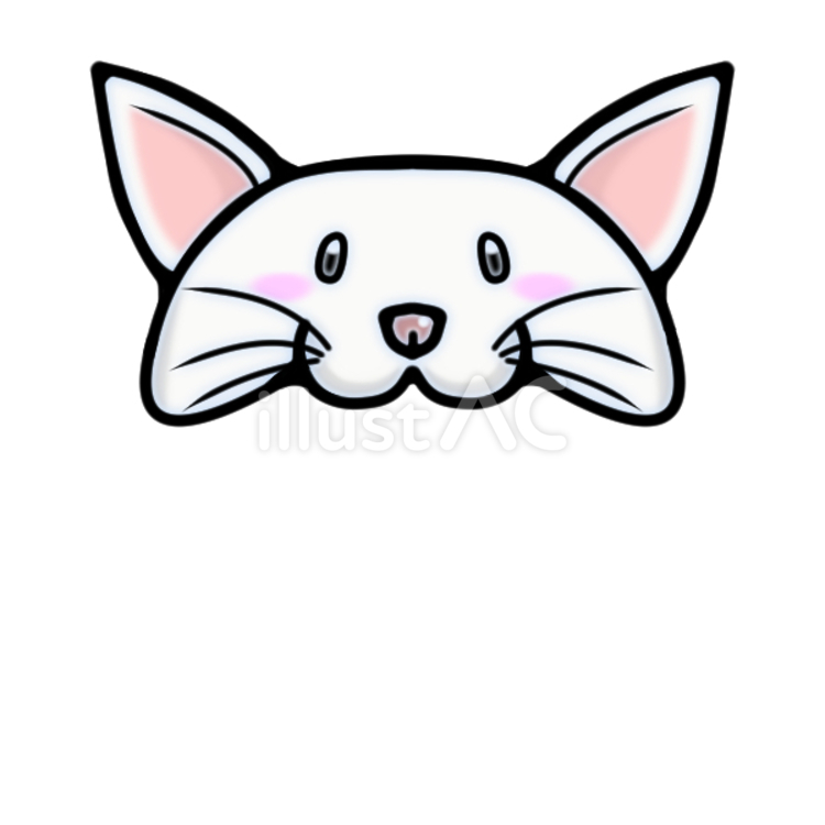 白猫の帽子 猫,帽子,動物のイラスト素材