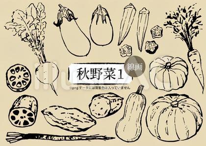 秋野菜1