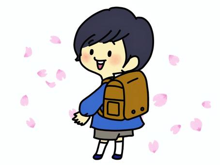 Hình minh họa, con trai, túi, lễ lối vào, 