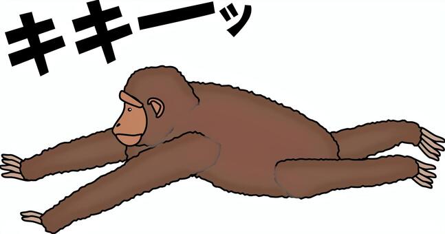 チンパンジー　 チンパンジー,類人猿,動物,動物園,賢い,走る,ジャンプ,鳴き声のイラスト素材