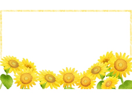 ひまわり畑のフレーム(黄色フチ) ひまわり,向日葵,ひまわり畑,夏,フレーム,花,お花,葉っぱ,葉,植物のイラスト素材