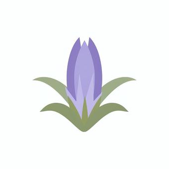 竜胆 / リンドウ つぼみ一輪 竜胆,りんどう,秋,植物,花,蕾,つぼみ,一輪,自然,葉のイラスト素材