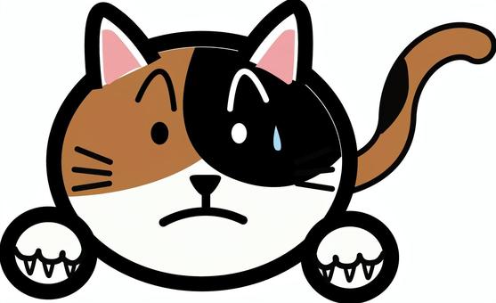 猫　　びっくり　　 猫,動物,三毛,顔,デフォルメ,表情,びっくり,手,尻尾のイラスト素材