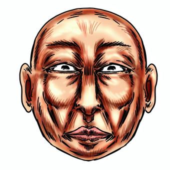 真顔または無感動や冷淡な坊主の頭 真顔,無表情,冷徹,冷める,無感動,冷淡,冷静,表情,感情,頭のイラスト素材
