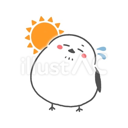 汗をかくシマエナガと太陽