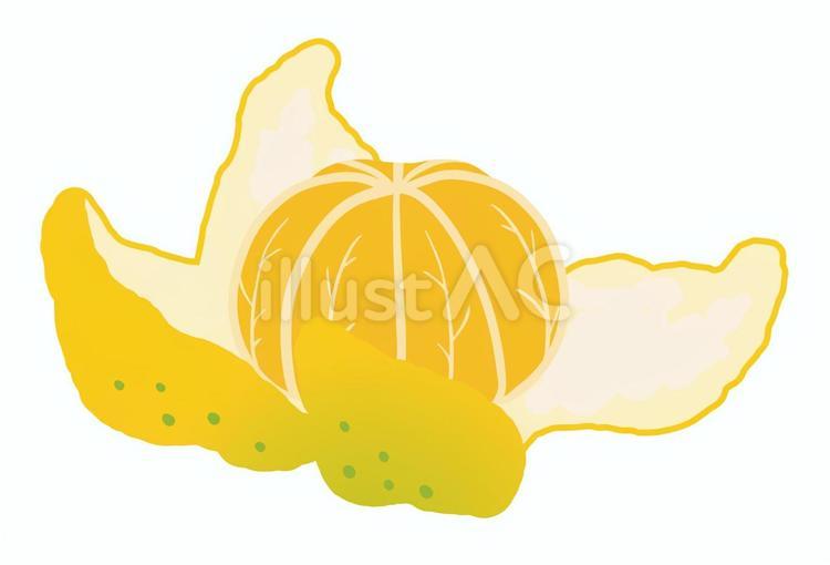 皮付き剥き青みかん みかん,剥き,皮付きのイラスト素材