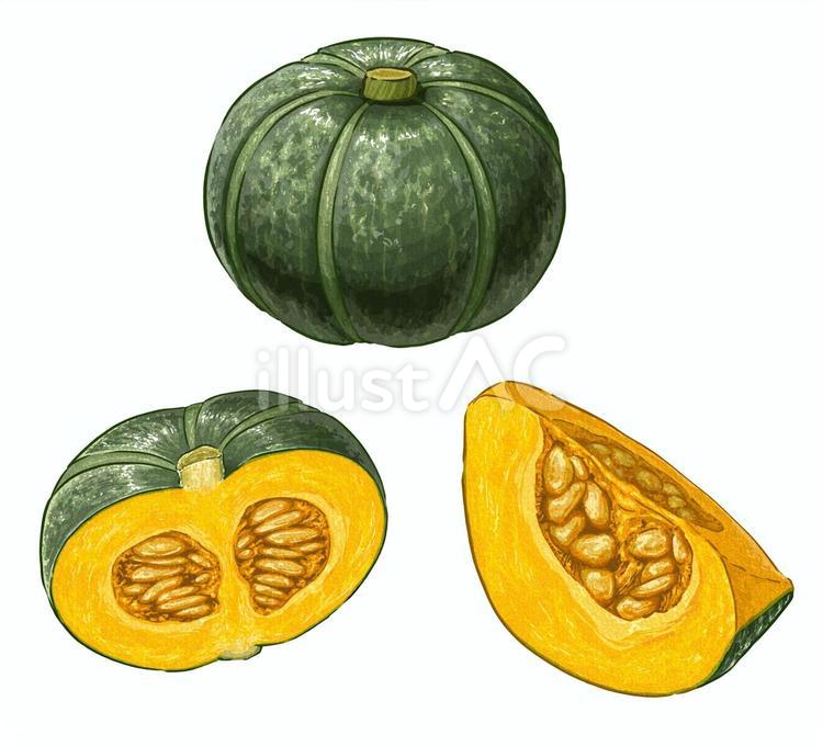 かぼちゃ カボチャ,南瓜,野菜のイラスト素材